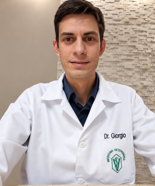 Giorgio Queiroz Pereira